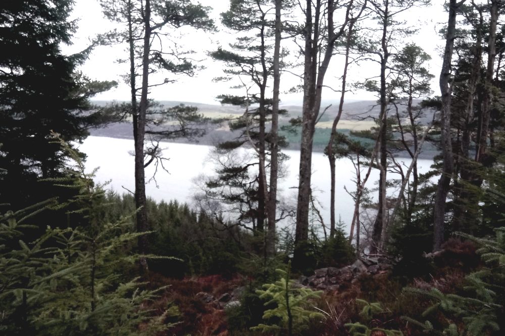 View of Loch Ness through the trees on the Great Glen Way approaching Drumnadrochit