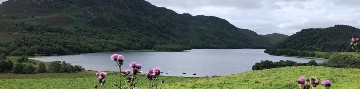 Loch Ness with thistles in the foreground