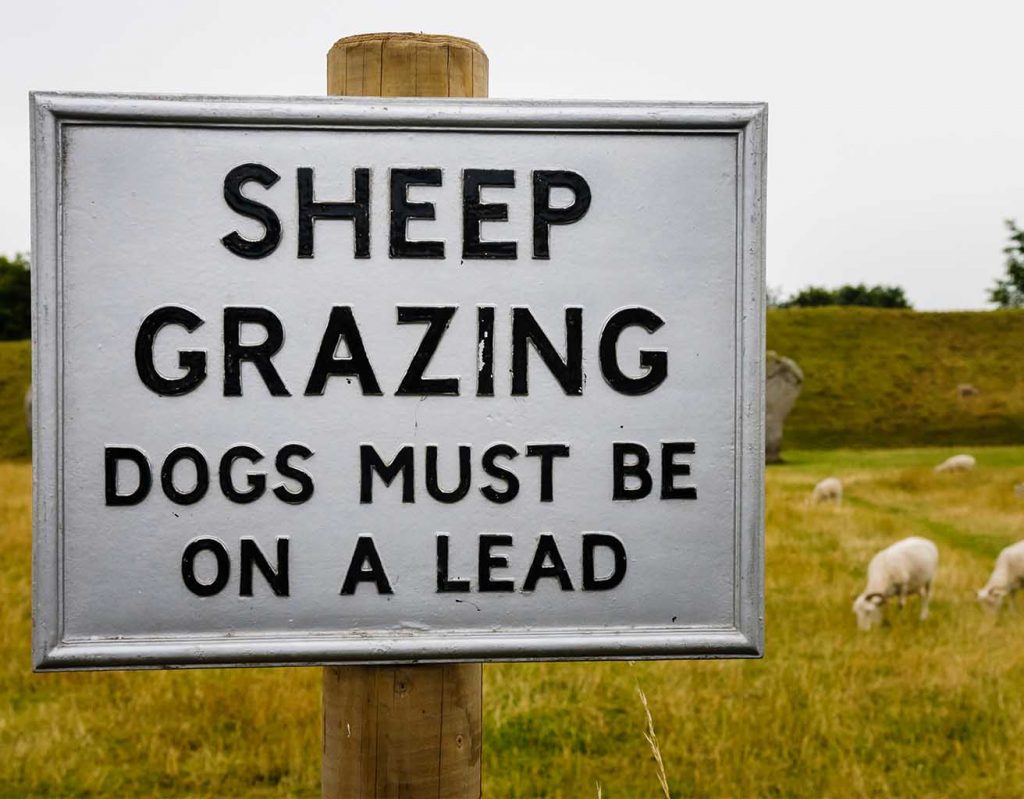 A sign warning people to keep dogs on lead as sheep are grazing