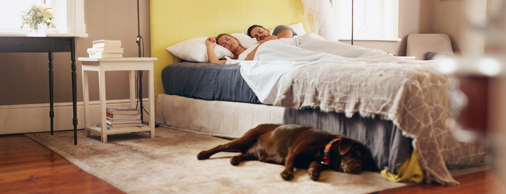 Family in bed with dog on floor